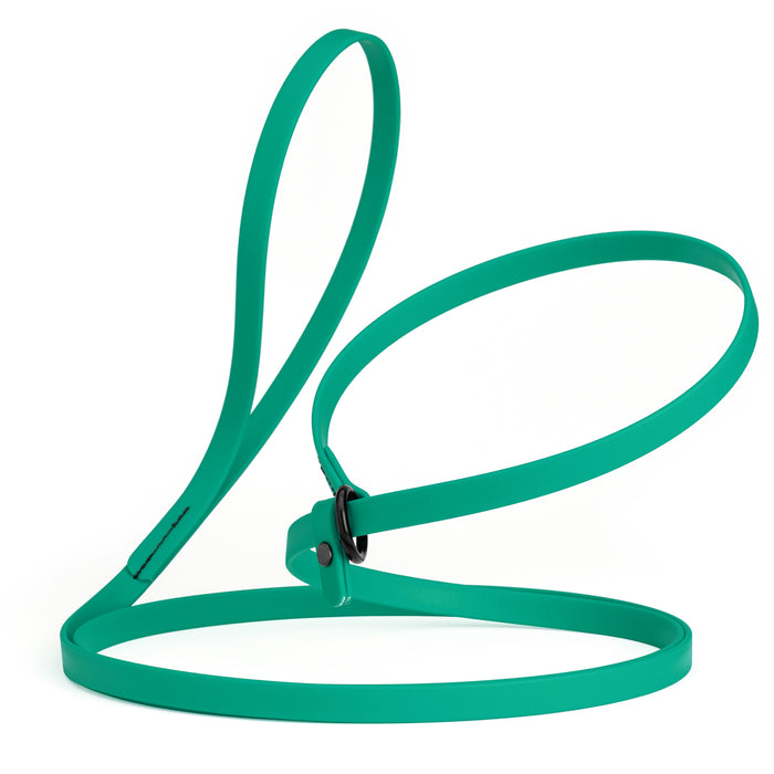 Teal slip lead dog leash, made from waterproof Biothane, 1/2-inch wide