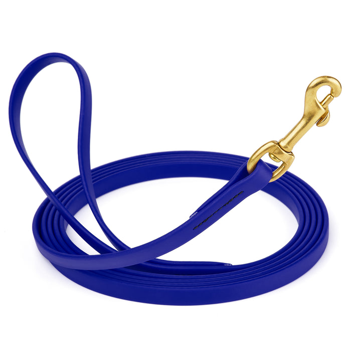 Blueberry dog leash with brass snap hook, made from waterproof and smell proof Biothane, 1/2 inches wide, 10 ft
