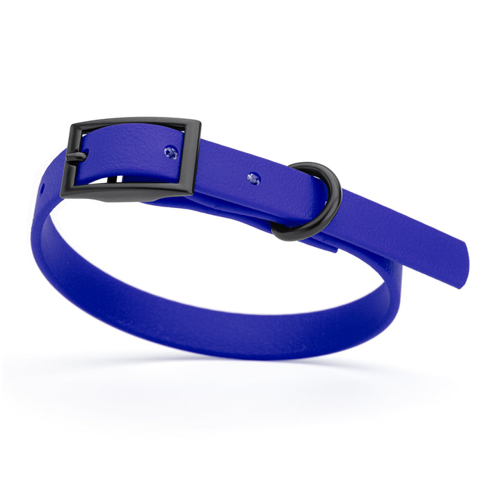 Blueberry dog collar with black hardware, made from waterproof Biothane