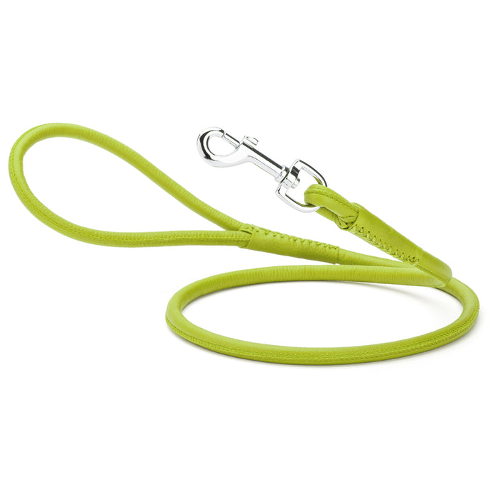 Lime green leather dog lead with metal snap hook, 1/4- or 3/8-inch wide