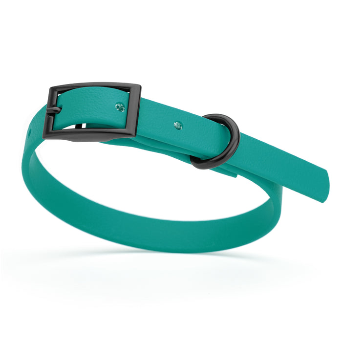 Blue Aqua dog collar with black hardware, made from waterproof Biothane