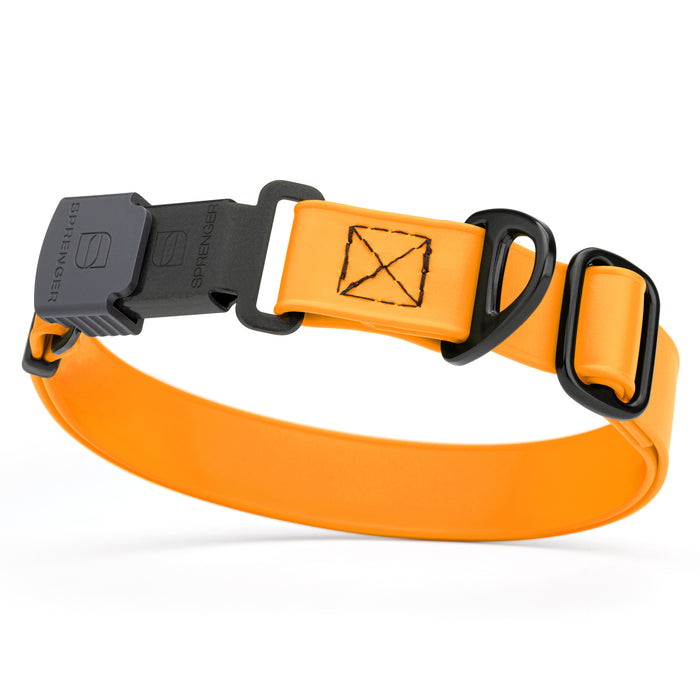 Tangerine Orange dog collar with black stainless steel Herm Sprenger quick release buckle, made from waterproof Biothane