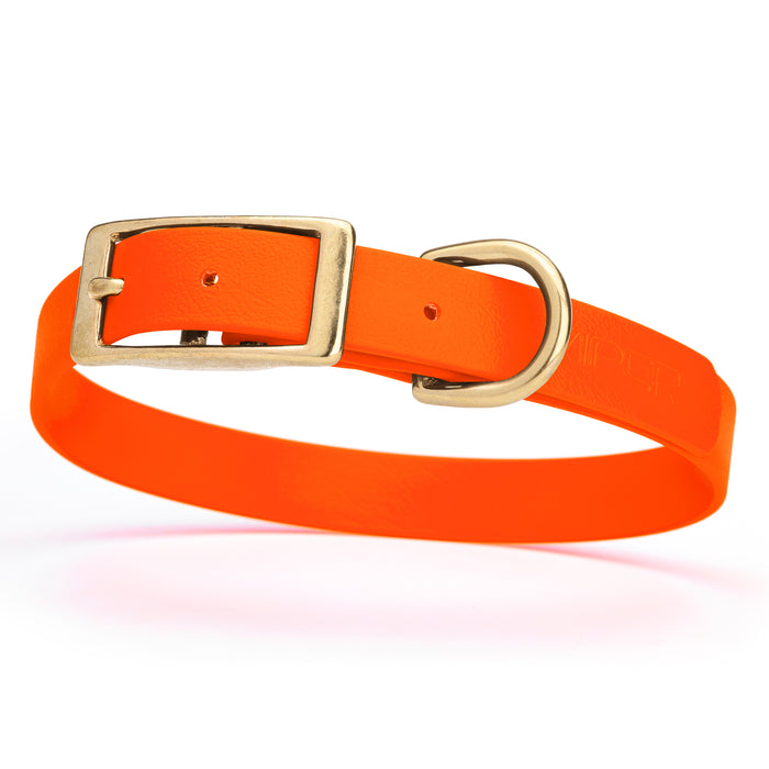 Hunter Orange dog collar with brass buckle and D-ring, made from waterproof Biothane, medium