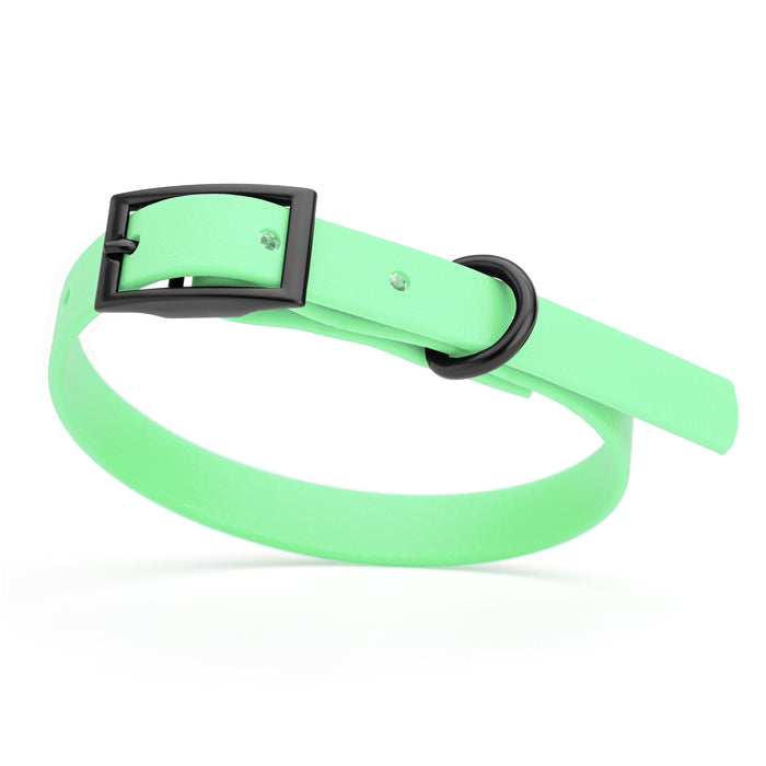Sea Foam Green dog collar with black hardware, made from waterproof Biothane
