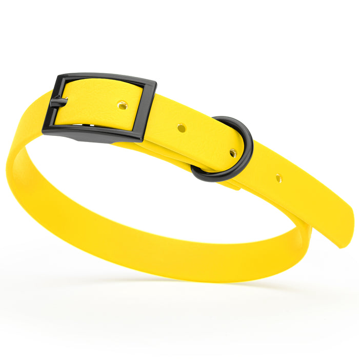 Lemon Yellow dog collar with black hardware, made from waterproof Biothane, small