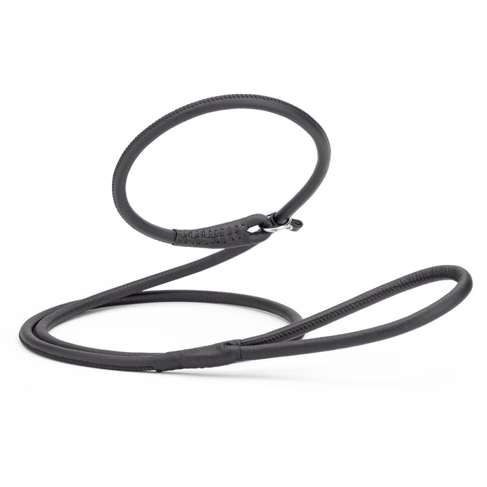 Black leather dog slip lead, 6 feet long