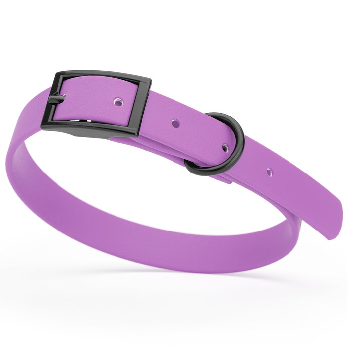 Amethyst Purple dog collar with black hardware, made from waterproof Biothane, small