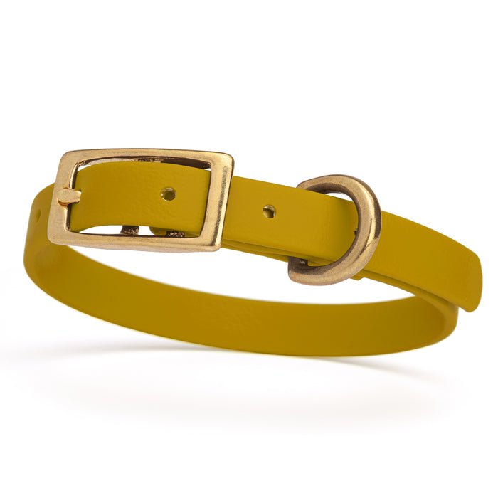 Treasure Gold dog collar with brass buckle and D-ring, made from waterproof Biothane,  x-small