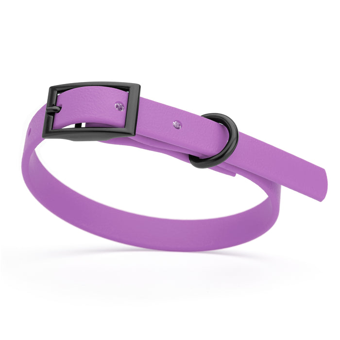 Amethyst Purple dog collar with black hardware, made from waterproof Biothane