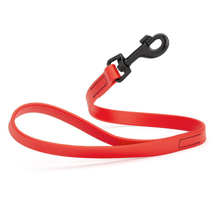 Cherry Red 2 ft short dog leash with black snap hook, made from waterproof Biothane, 3/4 inches wide