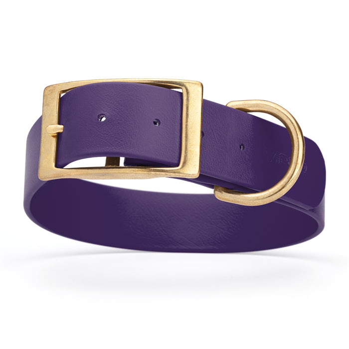 Violet Purple dog collar with brass buckle and D-ring, made from waterproof Biothane, 1.5 in wide, X-large