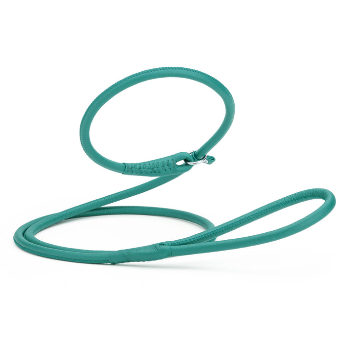 Teal leather dog slip lead, 6 feet long