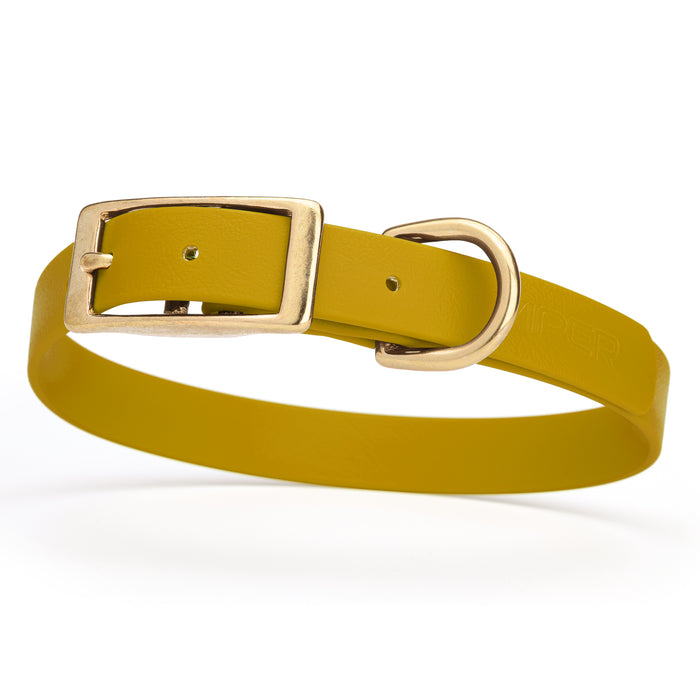Treasure Gold dog collar with brass buckle and D-ring, made from waterproof Biothane, medium