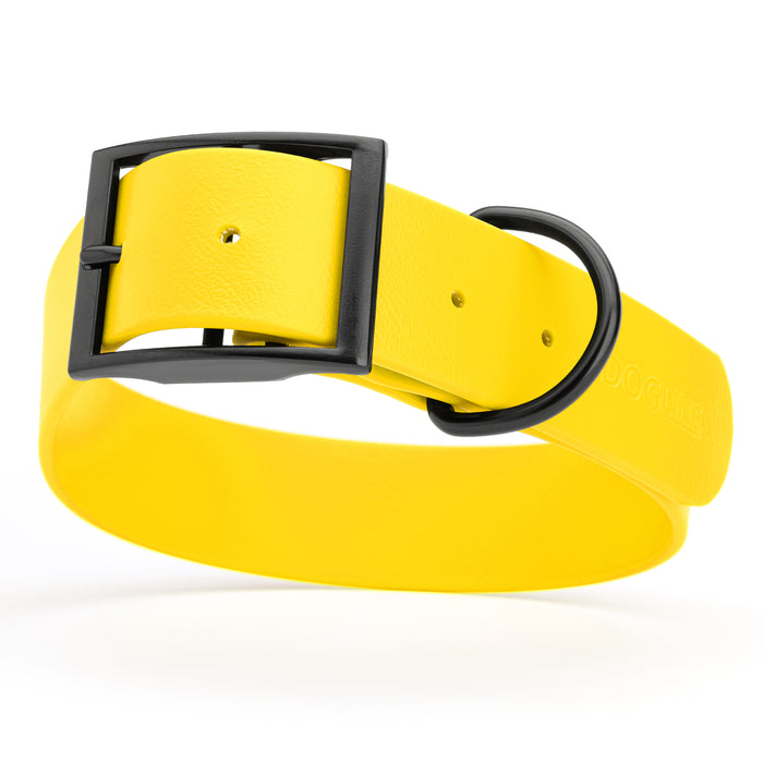 Lemon Yellow dog collar with black hardware, made from waterproof Biothane, X-large, 1.5 inches wide
