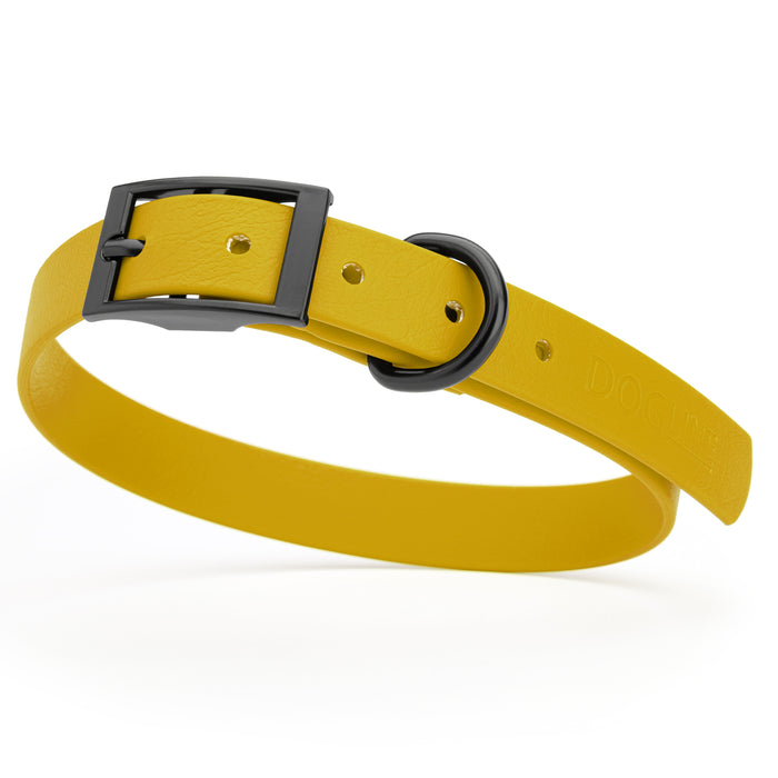 Treasure Gold dog collar with black hardware, made from waterproof Biothane, medium