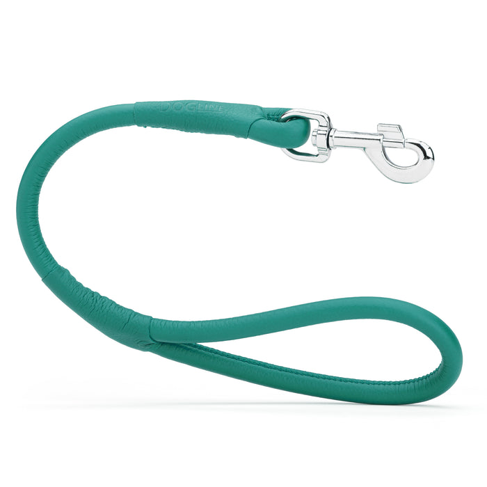 Teal leather dog traffic lead with metal snap hook