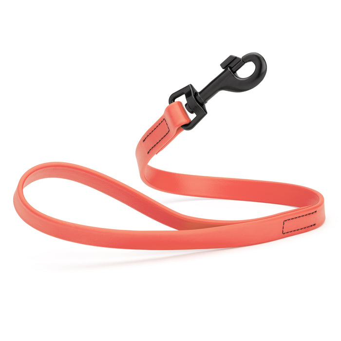 Coral 2 ft short dog leash with black snap hook, made from waterproof Biothane, 3/4 inches wide