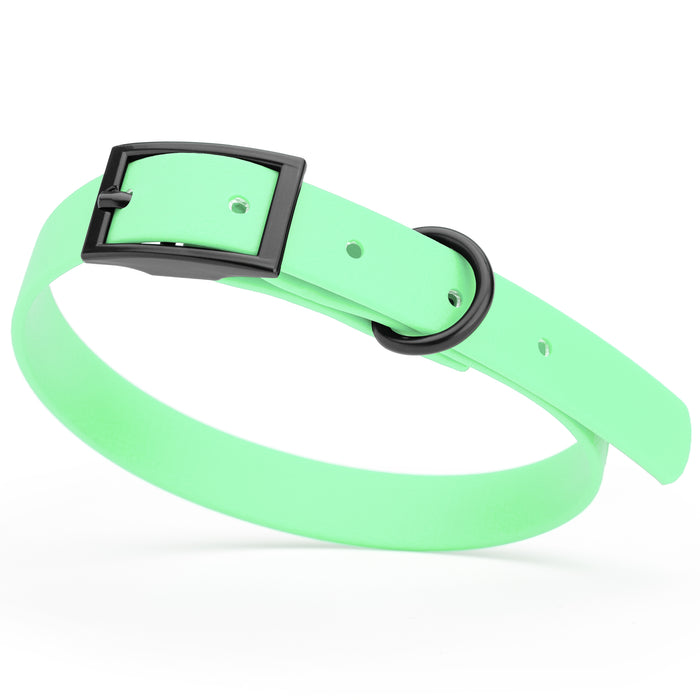 Sea Foam Green dog collar with black hardware, made from waterproof Biothane, small