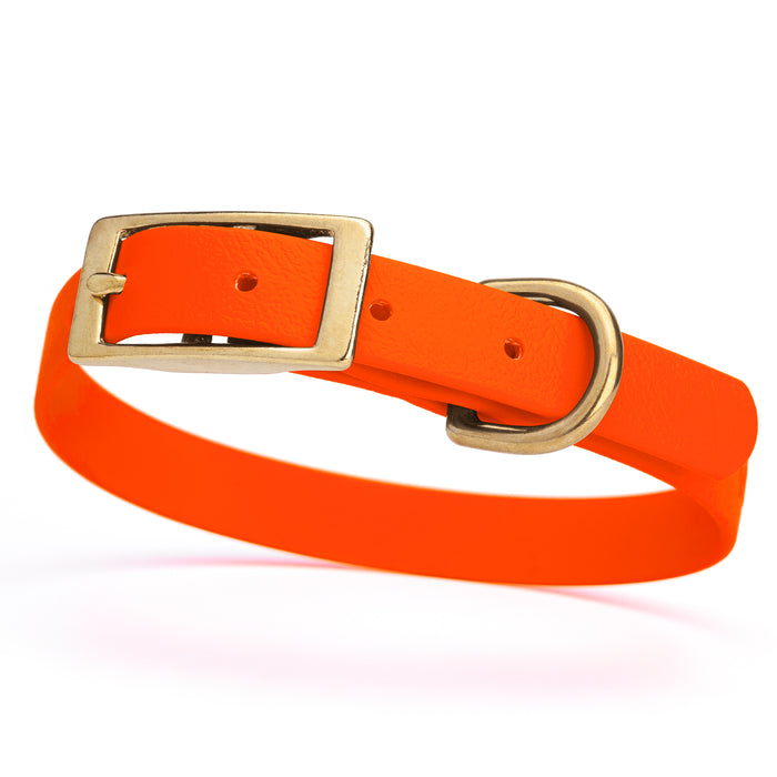 Hunter Orange dog collar with brass buckle and D-ring, made from waterproof Biothane, small