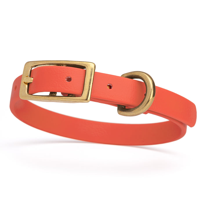 Coral dog collar with brass buckle and D-ring, made from waterproof Biothane,  x-small