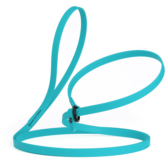 Sky blue slip lead dog leash, made from waterproof Biothane, 1/2-inch wide
