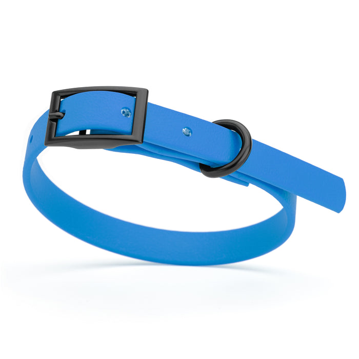 Cerulean Blue dog collar with black hardware, made from waterproof Biothane
