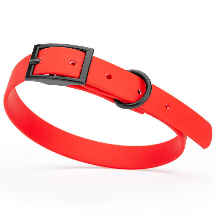 Cherry Red dog collar with black hardware, made from waterproof Biothane, small