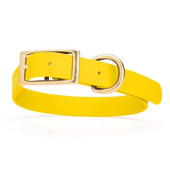 Lemon Yellow dog collar with brass buckle and D-ring, made from waterproof Biothane, X-large