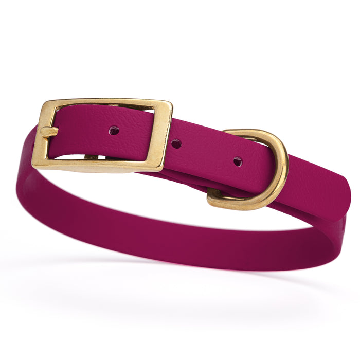 Magenta Pink dog collar with brass buckle and D-ring, made from waterproof Biothane, small