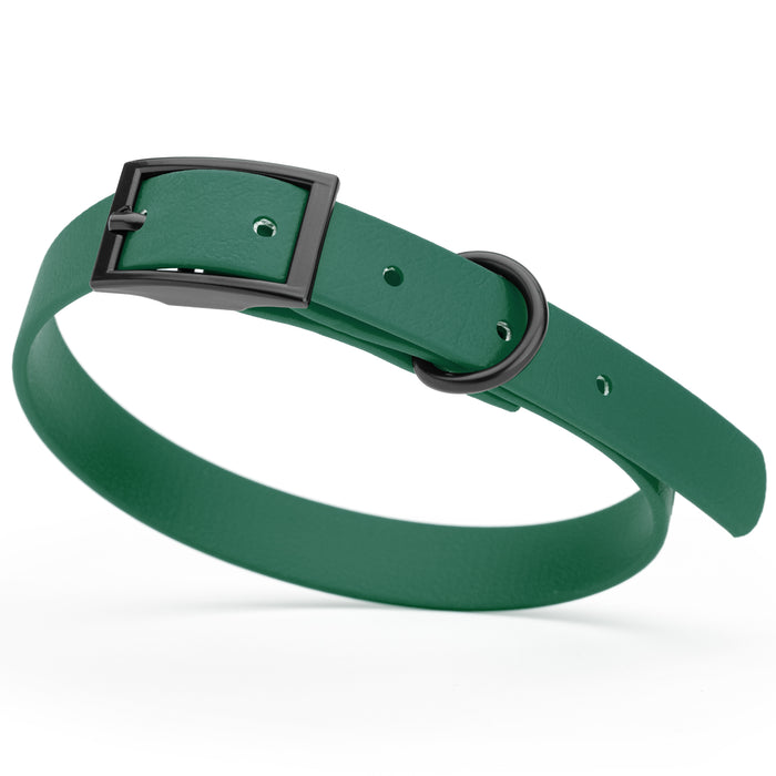Hunter Green dog collar with black hardware, made from waterproof Biothane, small