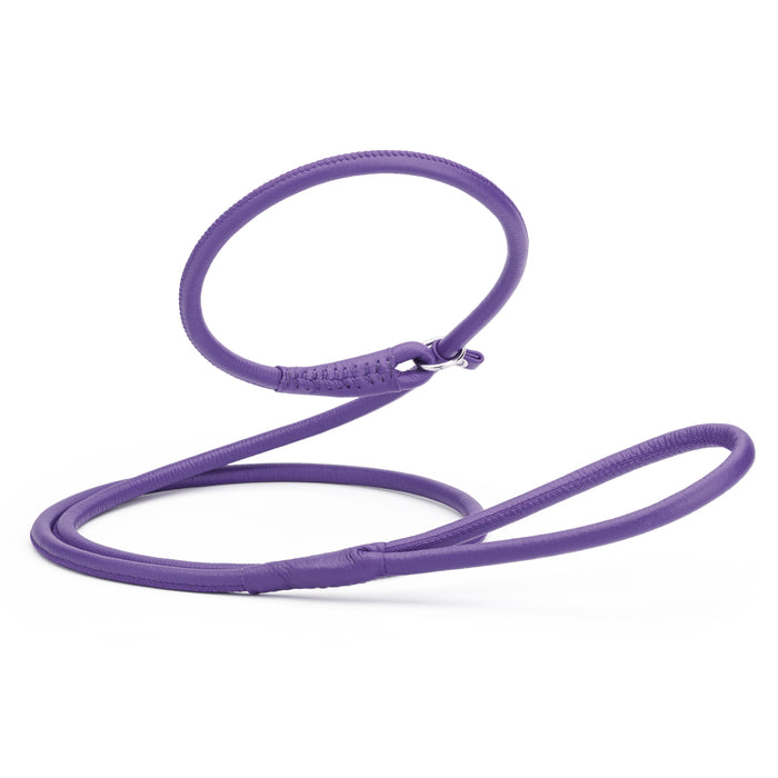 Purple leather dog slip lead, 6 feet long