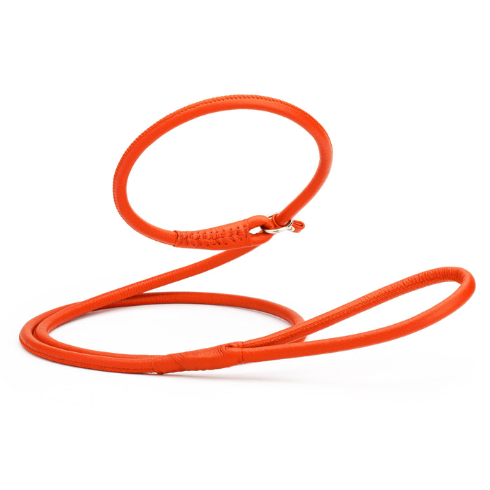 Orange leather dog slip lead, 6 feet long