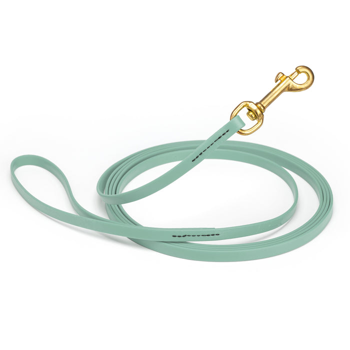 Sage Green dog leash with brass snap hook, made from waterproof and smell proof Biothane, 3/8 inches wide, 10 ft