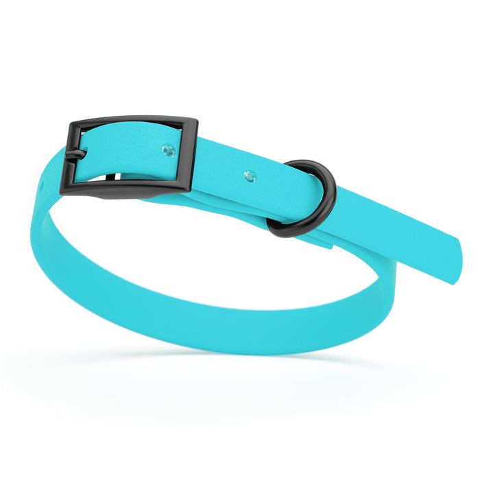 Sky Blue dog collar with black hardware, made from waterproof Biothane