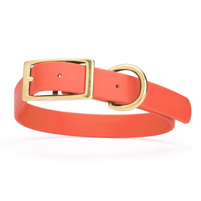Coral dog collar with brass buckle and D-ring, made from waterproof Biothane, X-large