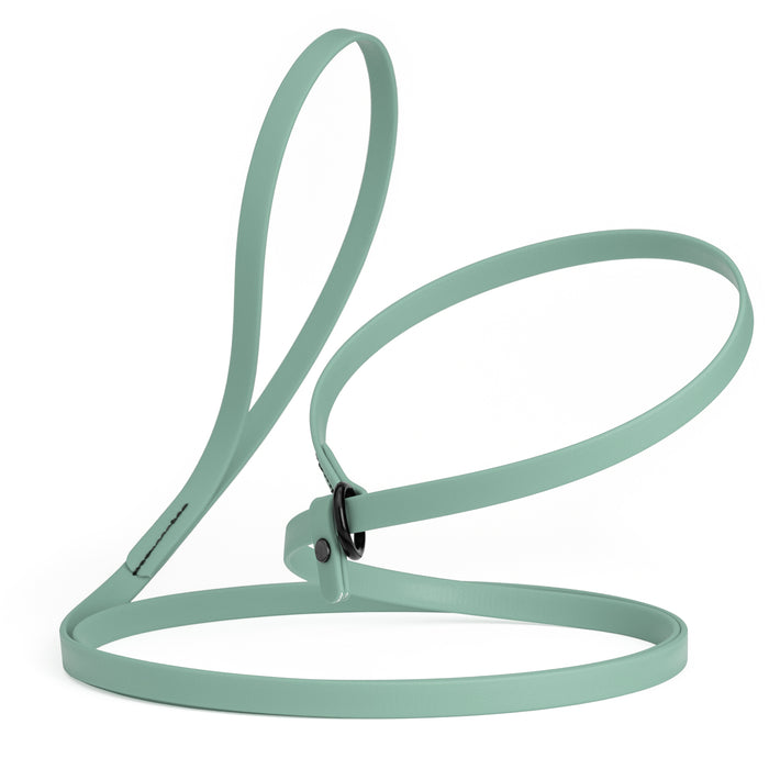 Sage Green slip lead dog leash, made from waterproof Biothane, 1/2-inch wide