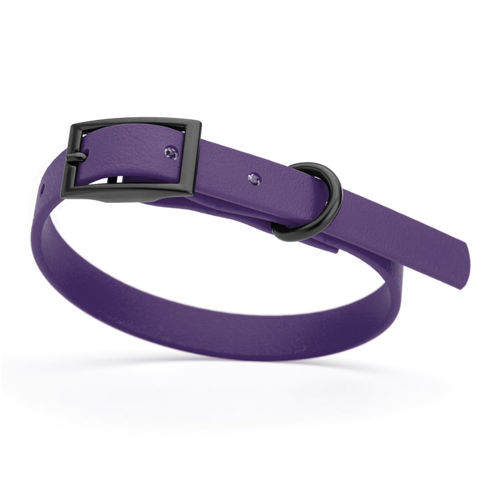 Violet Purple dog collar with black hardware, made from waterproof Biothane
