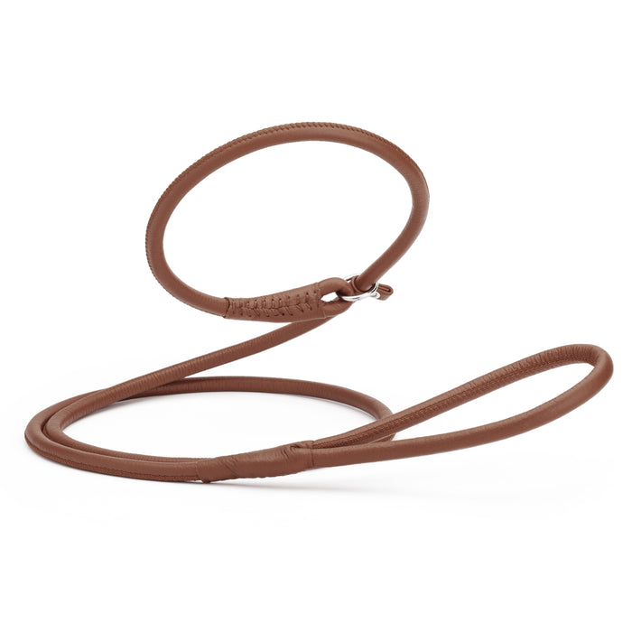 Brown leather dog slip lead, 6 feet long