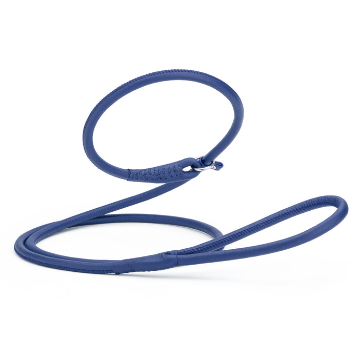 Blue leather dog slip lead, 6 feet long