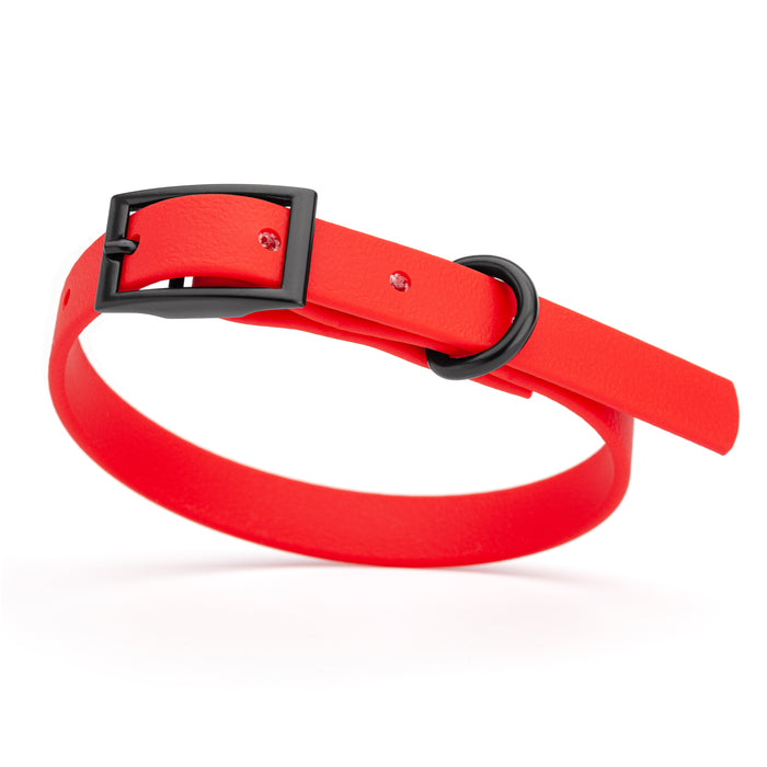 Cherry Red dog collar with black hardware, made from waterproof Biothane