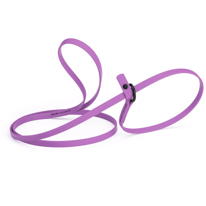 Amethyst Purple slip lead dog leash, made from waterproof Biothane, 3/8-inch wide