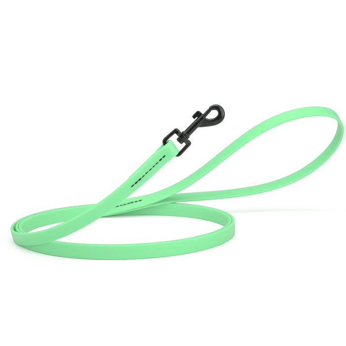 Sea Foam Green dog leash with black snap hook, made from waterproof Biothane, 1/2 inches wide