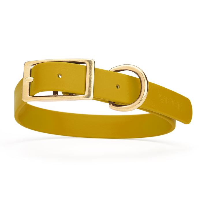 Treasure Gold dog collar with brass buckle and D-ring, made from waterproof Biothane, X-large