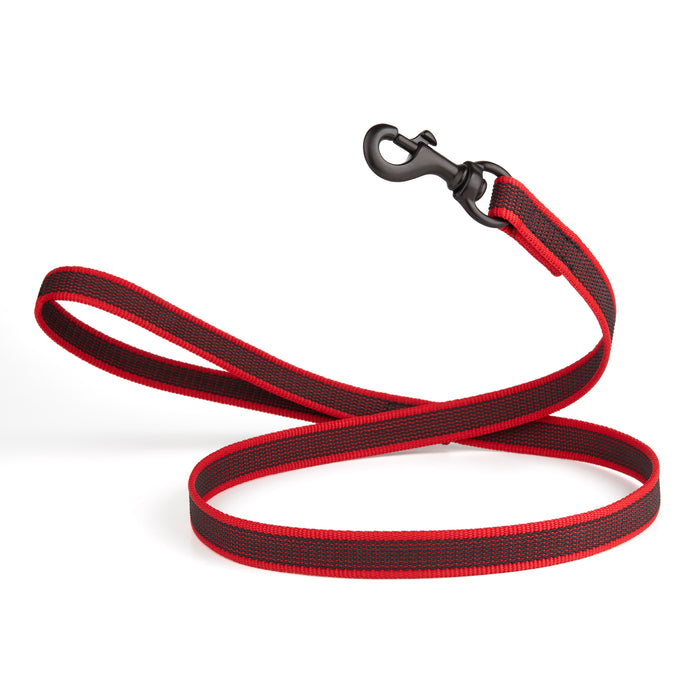 Red rubberized nylon dog leash with handle and black snap hook, 4 feet long
