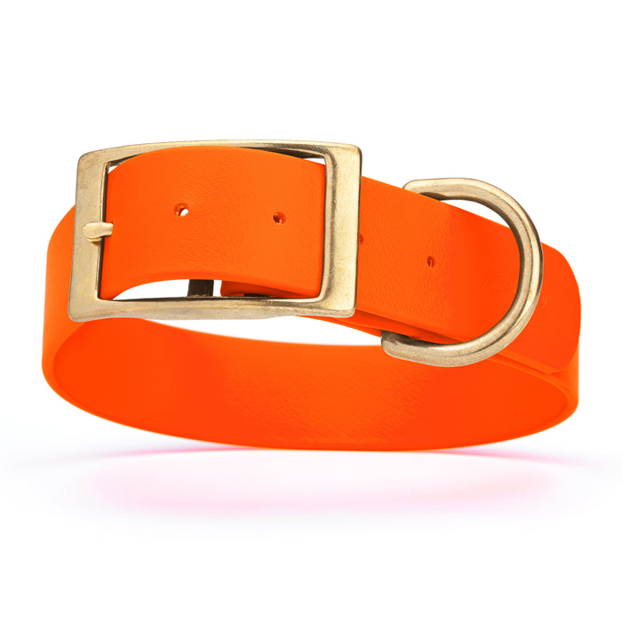 Hunter Orange dog collar with brass buckle and D-ring, made from waterproof Biothane, 1.5 in wide, X-large