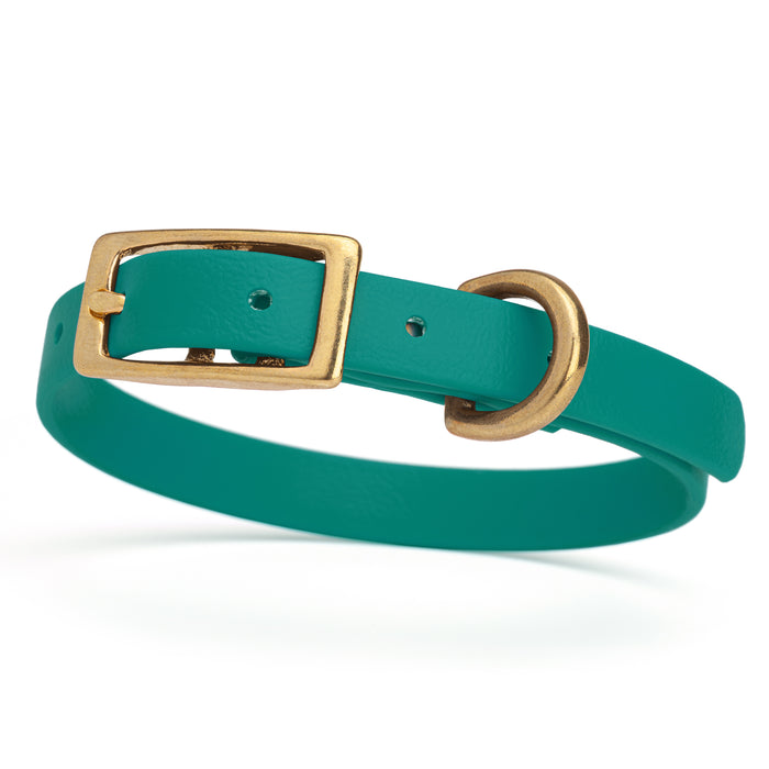 Aqua blue dog collar with brass buckle and D-ring, made from waterproof Biothane,  x-small