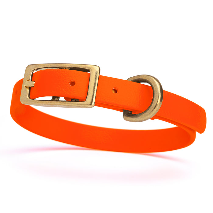 Hunter Orange dog collar with brass buckle and D-ring, made from waterproof Biothane,  x-small