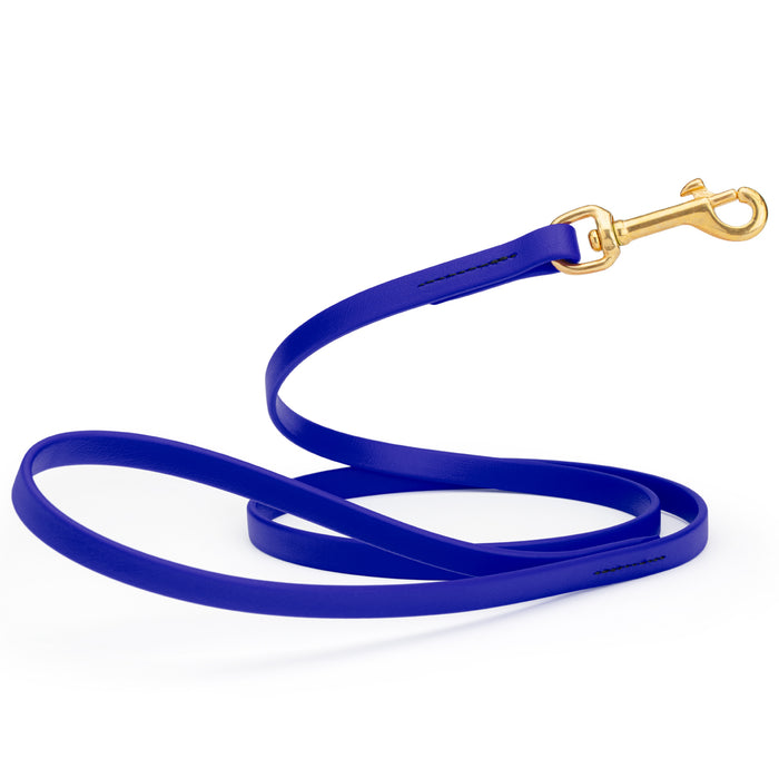 Blueberry dog leash with brass snap hook, made from waterproof Biothane, 1/2 inches wide