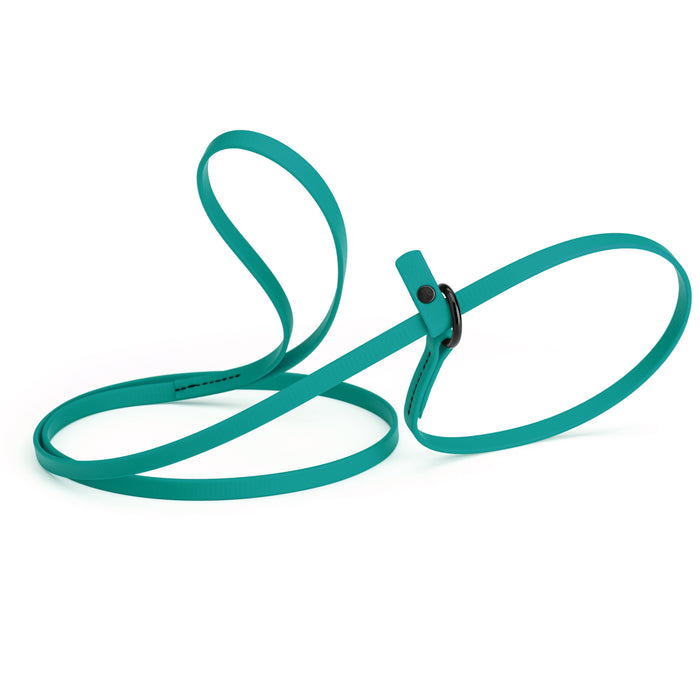 Aqua blue slip lead dog leash, made from waterproof Biothane, 3/8-inch wide
