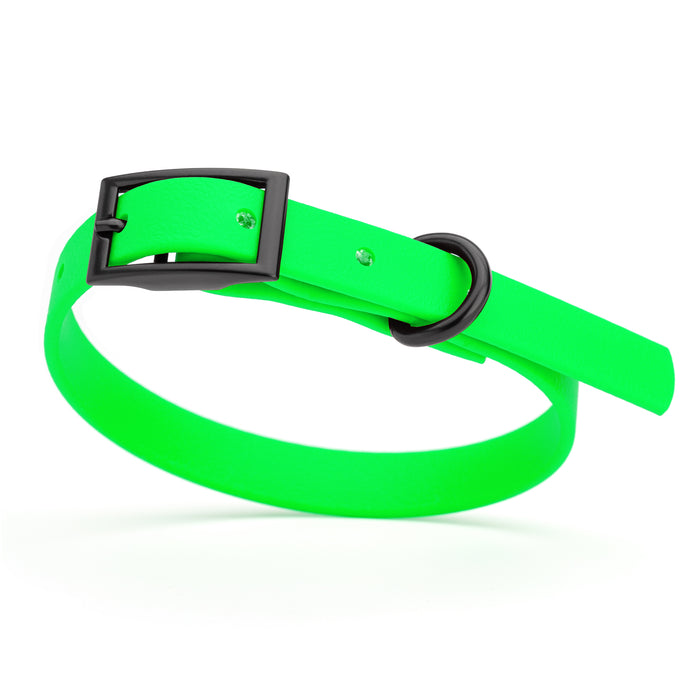Tropical Green dog collar with black hardware, made from waterproof Biothane
